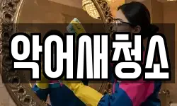 악어새청소