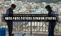 원룸청소.투룸청소.쓰레기집청소.반려동물냄새,상가입주청소