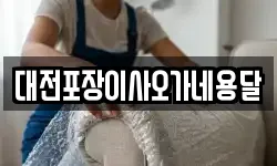대전포장이사오가네용달