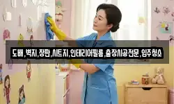 도배,벽지,장판,시트지,인테리어필름,출장시공전문,입주청소