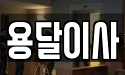 용달이사