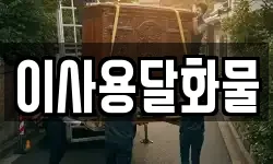 이사용달화물