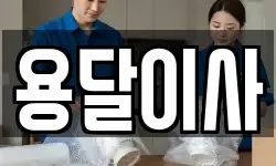 용달이사