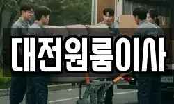 대전원룸이사
