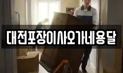 대전포장이사오가네용달