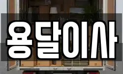 용달이사