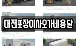 대전포장이사오가네용달