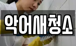 악어새청소