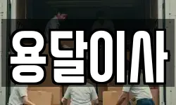 용달이사