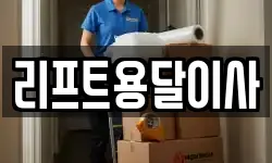 리프트용달이사