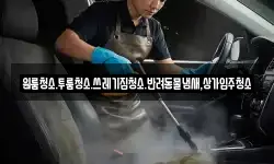 원룸청소.투룸청소.쓰레기집청소.반려동물냄새,상가입주청소