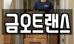 금오트랜스