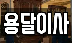 용달이사