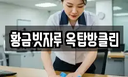 황금빗자루 옥탑방클린