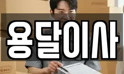 용달이사