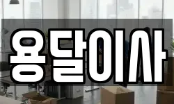 용달이사