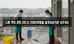 도배,벽지,장판,시트지,인테리어필름,출장시공전문,입주청소