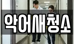 악어새청소