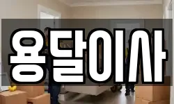 용달이사