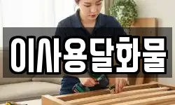 이사용달화물