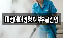 대전광역시 대덕구 오정동 청소,입주청소,사무실청소,에어컨청소