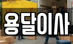 용달이사