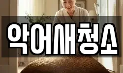 악어새청소