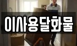 이사용달화물