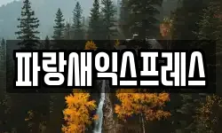 파랑새익스프레스