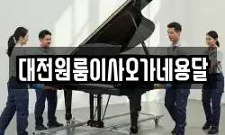 대전원룸이사오가네용달