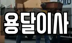 용달이사