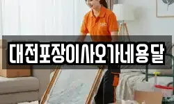 대전포장이사오가네용달