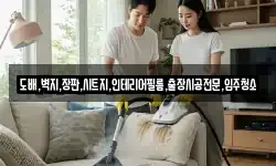 도배,벽지,장판,시트지,인테리어필름,출장시공전문,입주청소