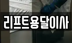 리프트용달이사