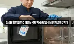 청소대행업체입주건물용역외벽왁스유품정리친환경청소박사
