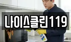 나이스클린119