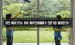 대전 에바크리닝 차량 에어컨냄새제거 전문기업 에바몬스터