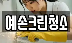예손크린청소