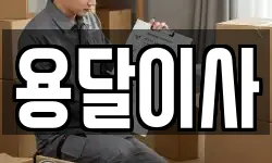 용달이사