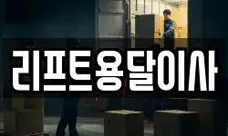리프트용달이사