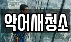 악어새청소