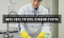 원룸청소.투룸청소.쓰레기집청소.반려동물냄새,상가입주청소