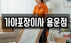 가야포장이사 용운점