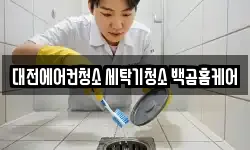대전에어컨청소 세탁기청소 백곰홈케어