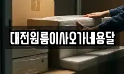 대전원룸이사오가네용달