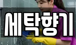 세탁향기