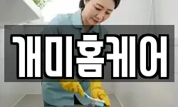 개미홈케어