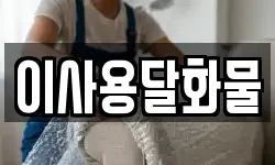 이사용달화물