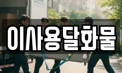 이사용달화물
