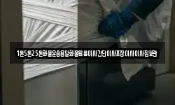 1톤5톤25톤화물운송용달화물원룸이사간단이사포장이사이사짐보관